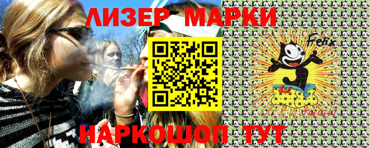 Псилоцибиновые грибы Тайшет